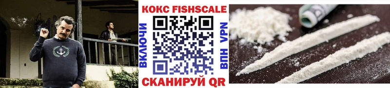 Купить закладки  Кочубеевское  КОКАИН Fish Scale