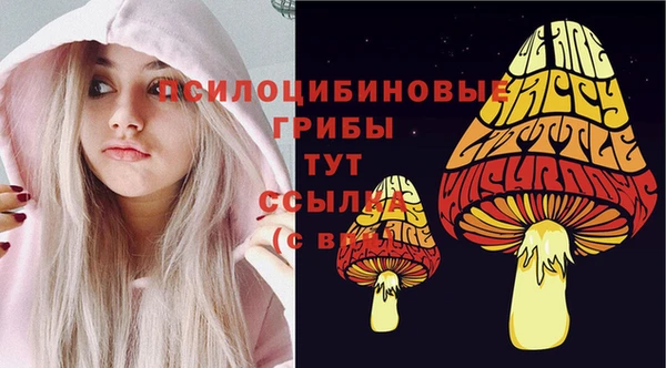 бошки Нефтегорск